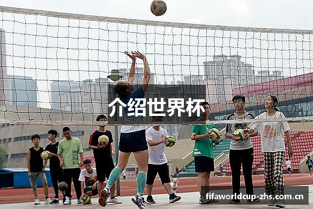 介绍世界杯